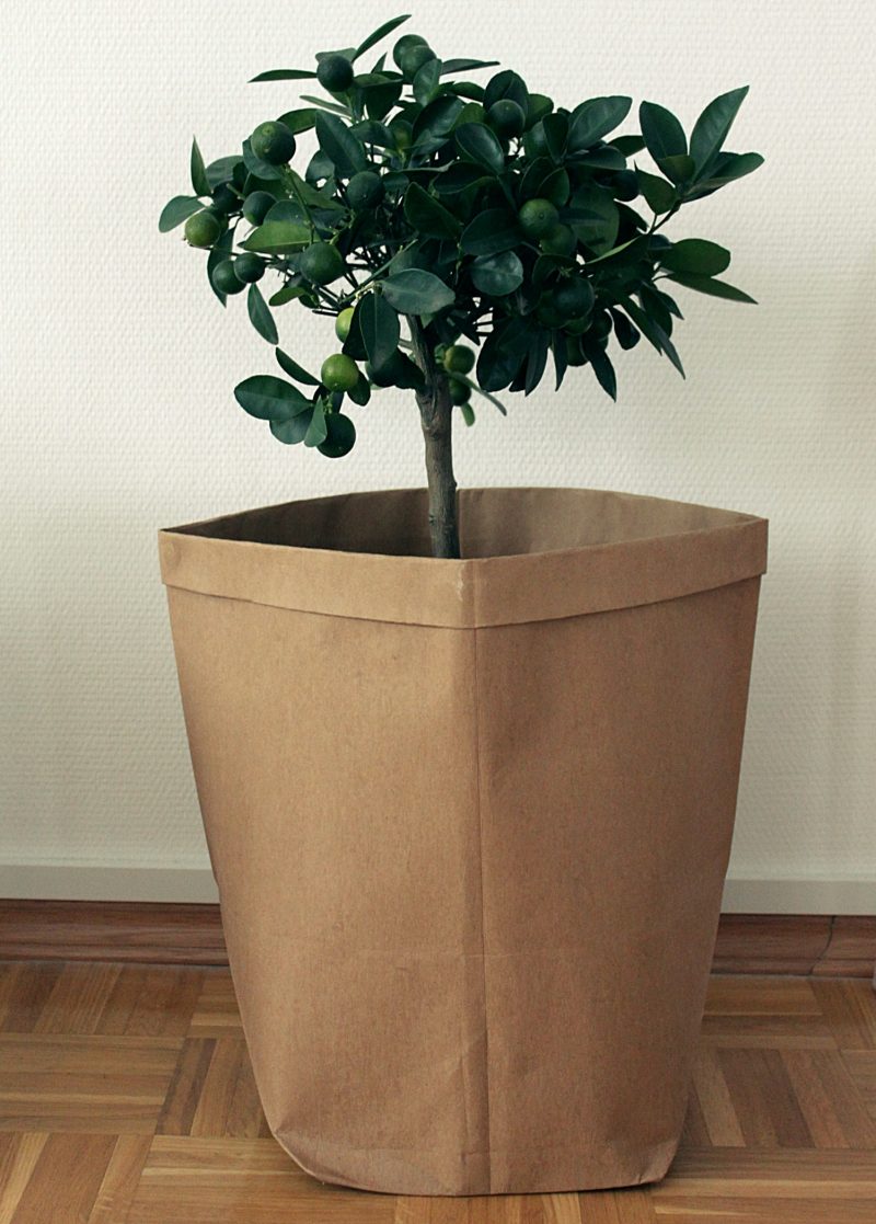 INTERIOR: Grüne Grüße aus dem Wohnzimmer - The Stylelicious